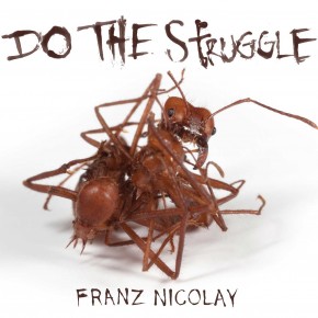 Nicolay_DoTheStruggle_Cover_ForWeb